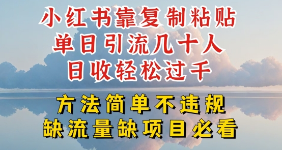 小红书靠复制粘贴单日引流几十人目收轻松过千，方法简单不违规【揭秘】-我爱找机会 - 学习赚钱技能, 掌握各行业视频教程