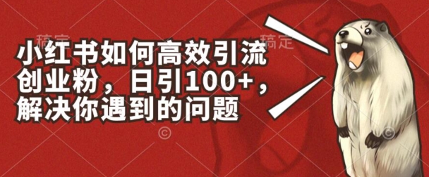 小红书如何高效引流创业粉，日引100+，解决你遇到的问题【揭秘】-我爱找机会 - 学习赚钱技能, 掌握各行业视频教程