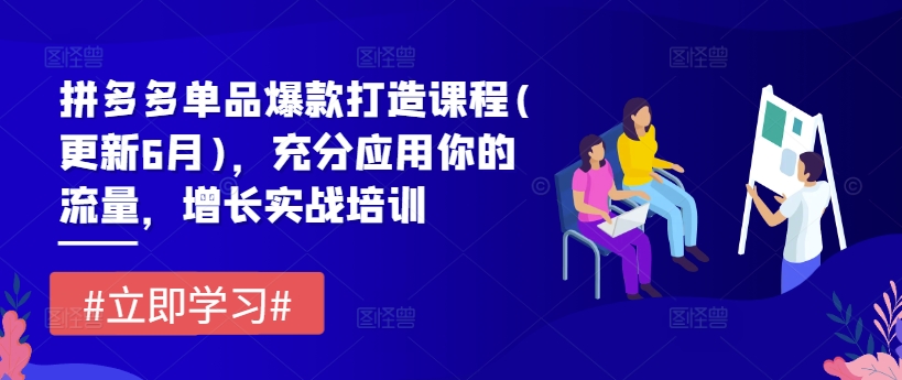 拼多多单品爆款打造课程(更新6月)，充分应用你的流量，增长实战培训-我爱找机会 - 学习赚钱技能, 掌握各行业视频教程