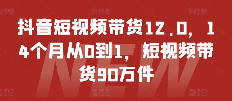 抖音短视频带货12.0，14个月从0到1，短视频带货90万件-我爱找机会 - 学习赚钱技能, 掌握各行业视频教程