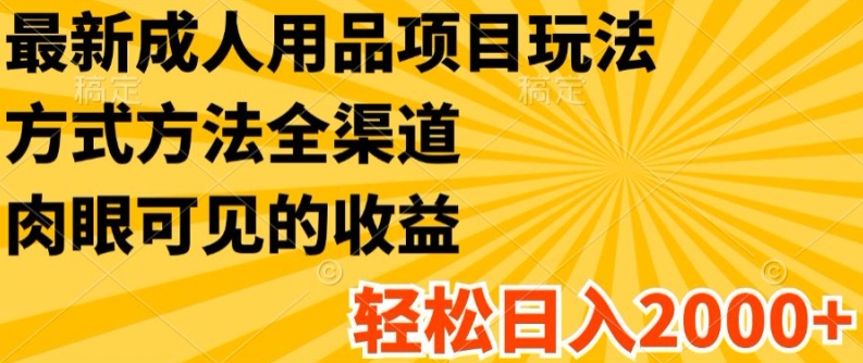 最新成人用品项目玩法，方式方法全渠道，轻松日入2K+【揭秘】-我爱找机会 - 学习赚钱技能, 掌握各行业视频教程