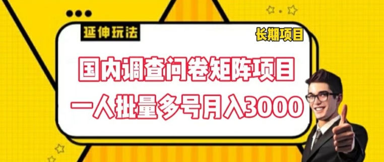 国内调查问卷矩阵项目，一人批量多号月入3000【揭秘】-我爱找机会 - 学习赚钱技能, 掌握各行业视频教程