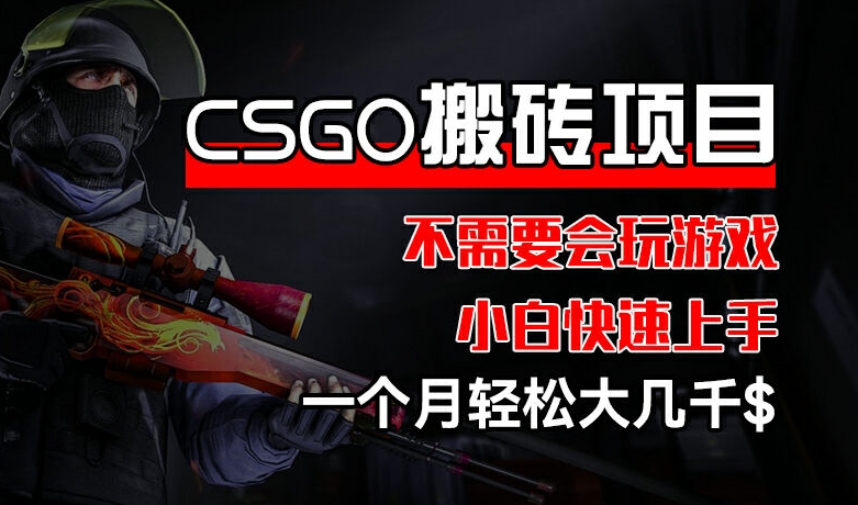 CSGO 装备搬砖项目，操作简单，不需要会玩游戏，小白也能快速上手，一个月轻松大几千【揭秘】-我爱找机会 - 学习赚钱技能, 掌握各行业视频教程