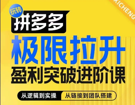 拼多多极限拉升盈利突破进阶课，​从算法到玩法，从玩法到团队搭建，体系化系统性帮助商家实现利润提升-我爱找机会 - 学习赚钱技能, 掌握各行业视频教程