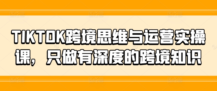 TIKTOK跨境思维与运营实操课，只做有深度的跨境知识-我爱找机会 - 学习赚钱技能, 掌握各行业视频教程