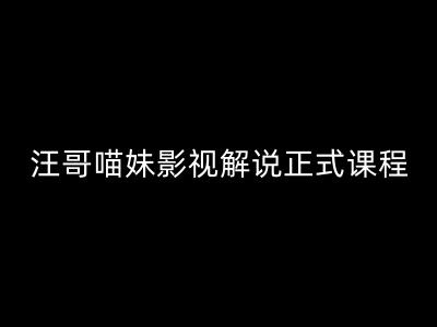 汪哥影视解说正式课程：剪映/PR教学/视解说剪辑5大黄金法则/全流程剪辑7把利器等等-我爱找机会 - 学习赚钱技能, 掌握各行业视频教程