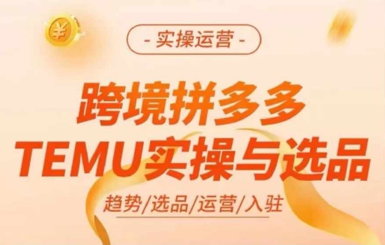 跨境拼多多TEMU实操与选品，多多temu跨境选品运营实操-我爱找机会 - 学习赚钱技能, 掌握各行业视频教程