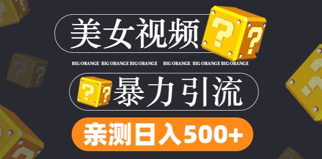 搬运tk美女视频全网分发，日引s粉300+，轻松变现，不限流量不封号【揭秘】-我爱找机会 - 学习赚钱技能, 掌握各行业视频教程