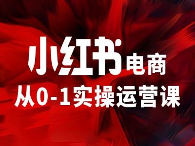 小红书电商从0-1实操运营课，让你从小白到精英-我爱找机会 - 学习赚钱技能, 掌握各行业视频教程