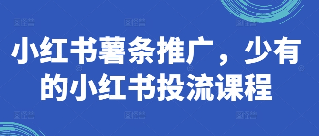 小红书薯条推广，少有的小红书投流课程-我爱找机会 - 学习赚钱技能, 掌握各行业视频教程