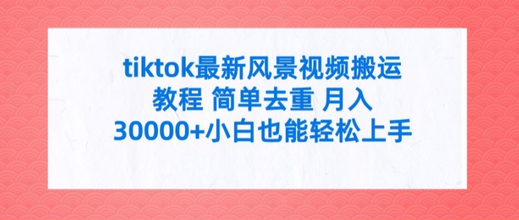 tiktok最新风景视频搬运教程 简单去重 月入3W+小白也能轻松上手【揭秘】-我爱找机会 - 学习赚钱技能, 掌握各行业视频教程