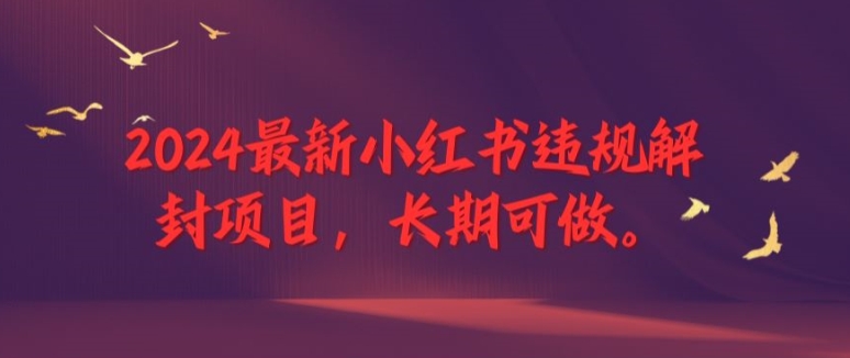 2024最新小红书违规解封项目，长期可做，一个可以做到退休的项目【揭秘】-我爱找机会 - 学习赚钱技能, 掌握各行业视频教程