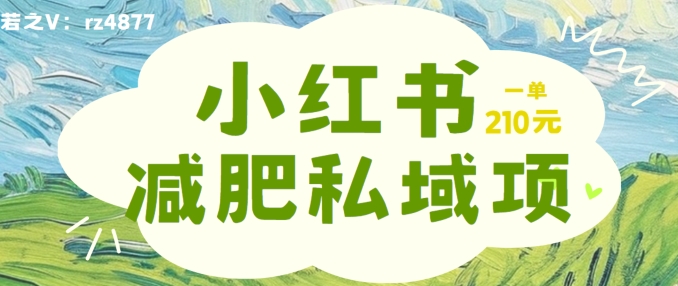 小红书减肥粉，私域变现项目，一单就达210元，小白也能轻松上手【揭秘】-我爱找机会 - 学习赚钱技能, 掌握各行业视频教程