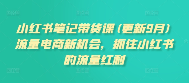 小红书笔记带货课(更新9月)流量电商新机会，抓住小红书的流量红利-我爱找机会 - 学习赚钱技能, 掌握各行业视频教程