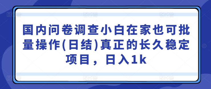 国内问卷调查小白在家也可批量操作(日结)真正的长久稳定项目，日入1k【揭秘】-我爱找机会 - 学习赚钱技能, 掌握各行业视频教程