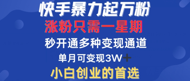 快手暴力起万粉，涨粉只需一星期，多种变现模式，直接秒开万合，单月变现过W【揭秘】-我爱找机会 - 学习赚钱技能, 掌握各行业视频教程