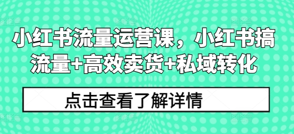 小红书流量运营课，小红书搞流量+高效卖货+私域转化-我爱找机会 - 学习赚钱技能, 掌握各行业视频教程