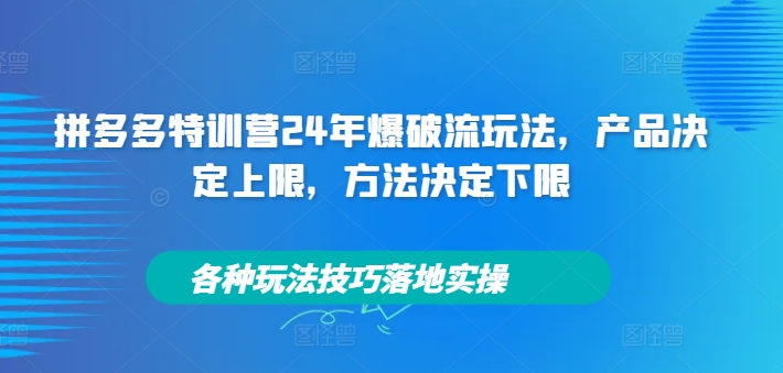 拼多多特训营24年爆破流玩法，产品决定上限，方法决定下限，各种玩法技巧落地实操-我爱找机会 - 学习赚钱技能, 掌握各行业视频教程