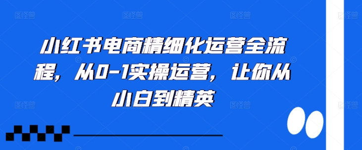 小红书电商精细化运营全流程，从0-1实操运营，让你从小白到精英-我爱找机会 - 学习赚钱技能, 掌握各行业视频教程