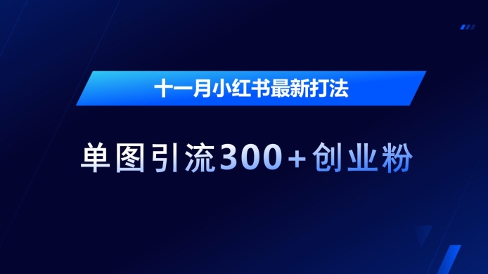 十一月小红书最新打法，单图引流300+创业粉【揭秘】-我爱找机会 - 学习赚钱技能, 掌握各行业视频教程