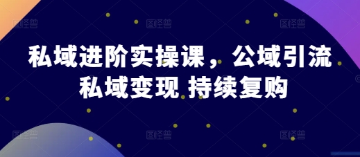 私域进阶实操课，公域引流 私域变现 持续复购-我爱找机会 - 学习赚钱技能, 掌握各行业视频教程