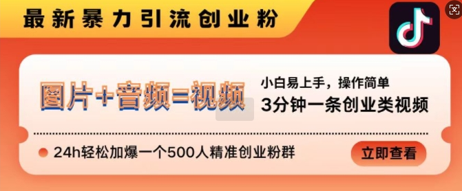 抖音最新暴力引流创业粉，3分钟一条创业类视频，24h轻松加爆一个500人精准创业粉群【揭秘】-我爱找机会 - 学习赚钱技能, 掌握各行业视频教程