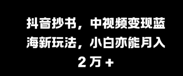 抖音抄书，中视频变现蓝海新玩法，小白亦能月入 过W【揭秘】-我爱找机会 - 学习赚钱技能, 掌握各行业视频教程