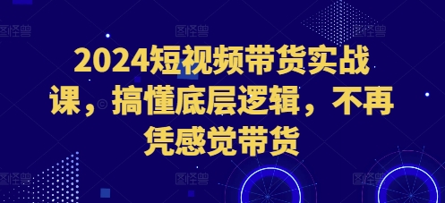 2024短视频带货实战课，搞懂底层逻辑，不再凭感觉带货-我爱找机会 - 学习赚钱技能, 掌握各行业视频教程