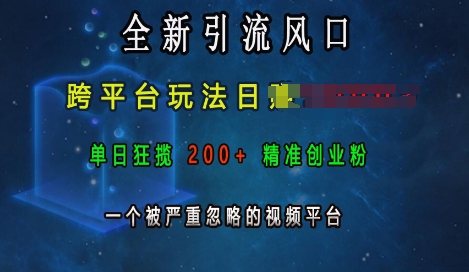 全新引流风口，跨平台玩法日入上k，单日狂揽200+精准创业粉，一个被严重忽略的视频平台-我爱找机会 - 学习赚钱技能, 掌握各行业视频教程