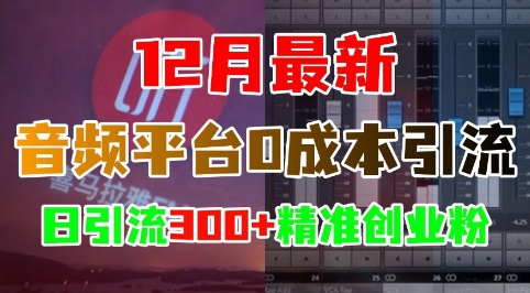 12月最新：音频平台0成本引流，日引流300+精准创业粉-我爱找机会 - 学习赚钱技能, 掌握各行业视频教程