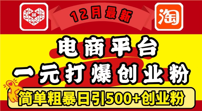 12月最新：电商平台1元打爆创业粉，简单粗暴日引500+精准创业粉，轻松月入过W【揭秘】-我爱找机会 - 学习赚钱技能, 掌握各行业视频教程