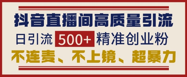 抖音直播间引流创业粉，无需连麦、不用上镜、超暴力，日引流500+高质量精准创业粉-我爱找机会 - 学习赚钱技能, 掌握各行业视频教程