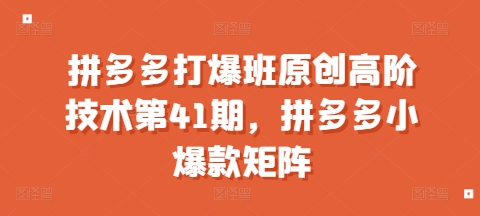 拼多多打爆班原创高阶技术第41期，拼多多小爆款矩阵-我爱找机会 - 学习赚钱技能, 掌握各行业视频教程