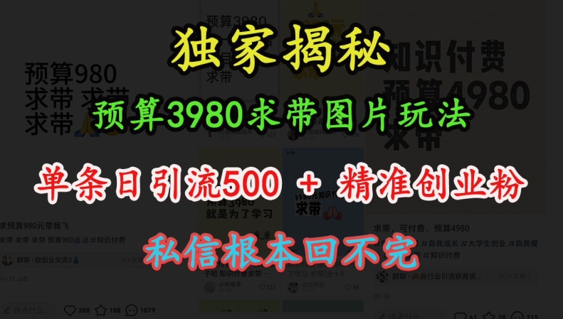 预算3980求带 图片玩法，单条日引流500+精准创业粉，私信根本回不完-我爱找机会 - 学习赚钱技能, 掌握各行业视频教程