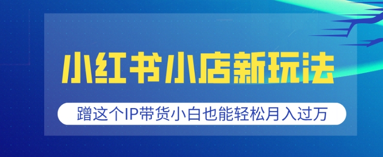 小红书小店新玩法，蹭这个IP带货，小白也能轻松月入过W【揭秘】-我爱找机会 - 学习赚钱技能, 掌握各行业视频教程