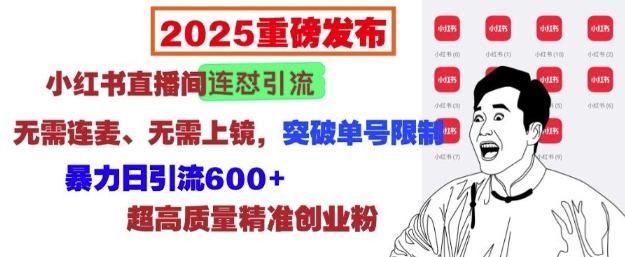 2025重磅发布：小红书直播间连怼引流，无需连麦、无需上镜，突破单号限制，暴力日引流600+-我爱找机会 - 学习赚钱技能, 掌握各行业视频教程