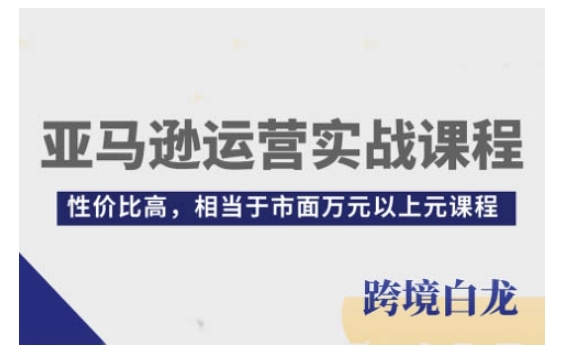 亚马逊运营实战课程，亚马逊从入门到精通，性价比高，相当于市面万元以上元课程-我爱找机会 - 学习赚钱技能, 掌握各行业视频教程