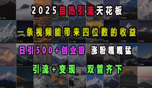 2025自热引流天花板，一条视频能带来四位数的收益，引流+变现双管齐下，日引500+创业粉，涨粉嘎嘎猛-我爱找机会 - 学习赚钱技能, 掌握各行业视频教程