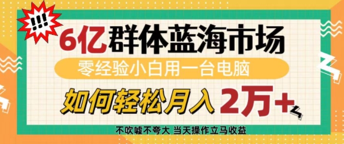 6亿群体蓝海市场，零经验小白用一台电脑，如何轻松月入过w【揭秘】-我爱找机会 - 学习赚钱技能, 掌握各行业视频教程