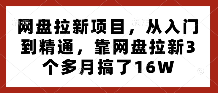 网盘拉新项目，从入门到精通，靠网盘拉新3个多月搞了16W-我爱找机会 - 学习赚钱技能, 掌握各行业视频教程